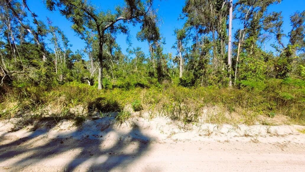 Lot 56 NW 29th Loop, Jennings, FL 32053 17