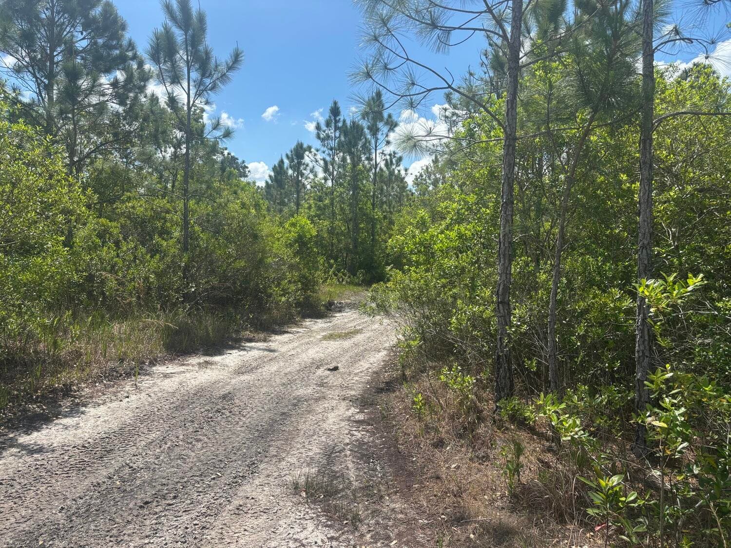 0 Holopaw Groves Road, St. Cloud, FL 34772 2