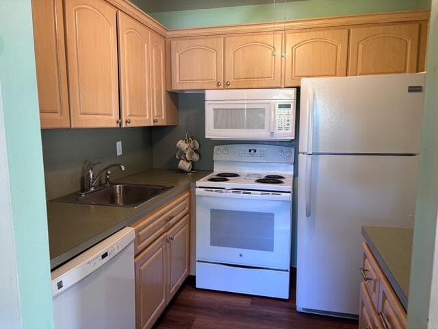 340 W Horizons 205, Boynton Beach, FL 33435 4