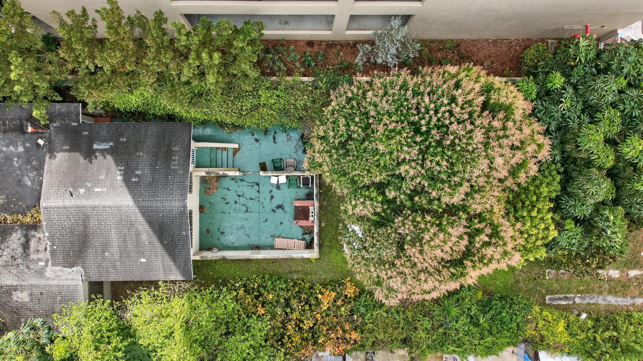 975 SW 37th Avenue, Miami, FL 33135 3