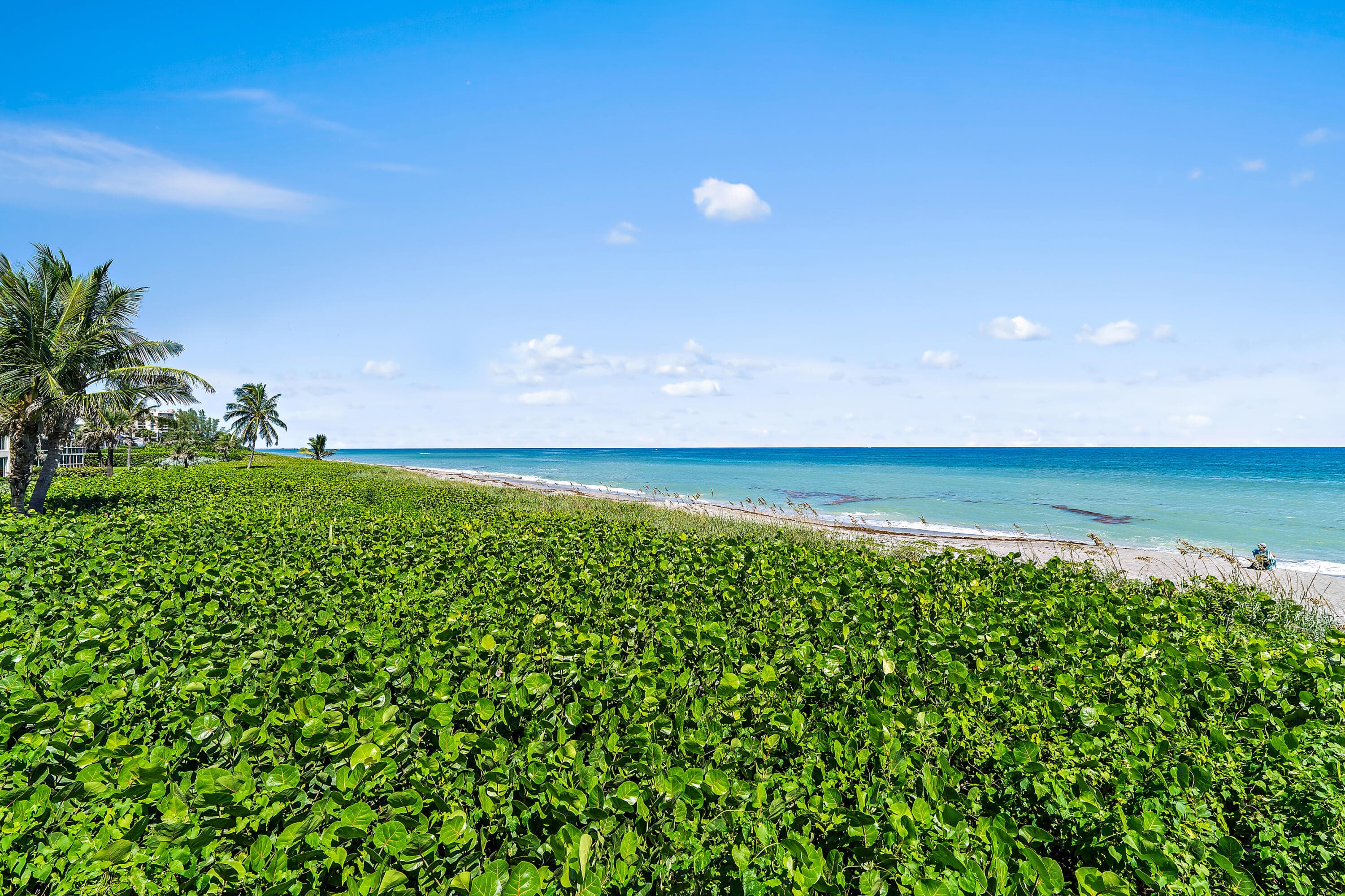 50 Celestial Way 310, Juno Beach, FL 33408 29