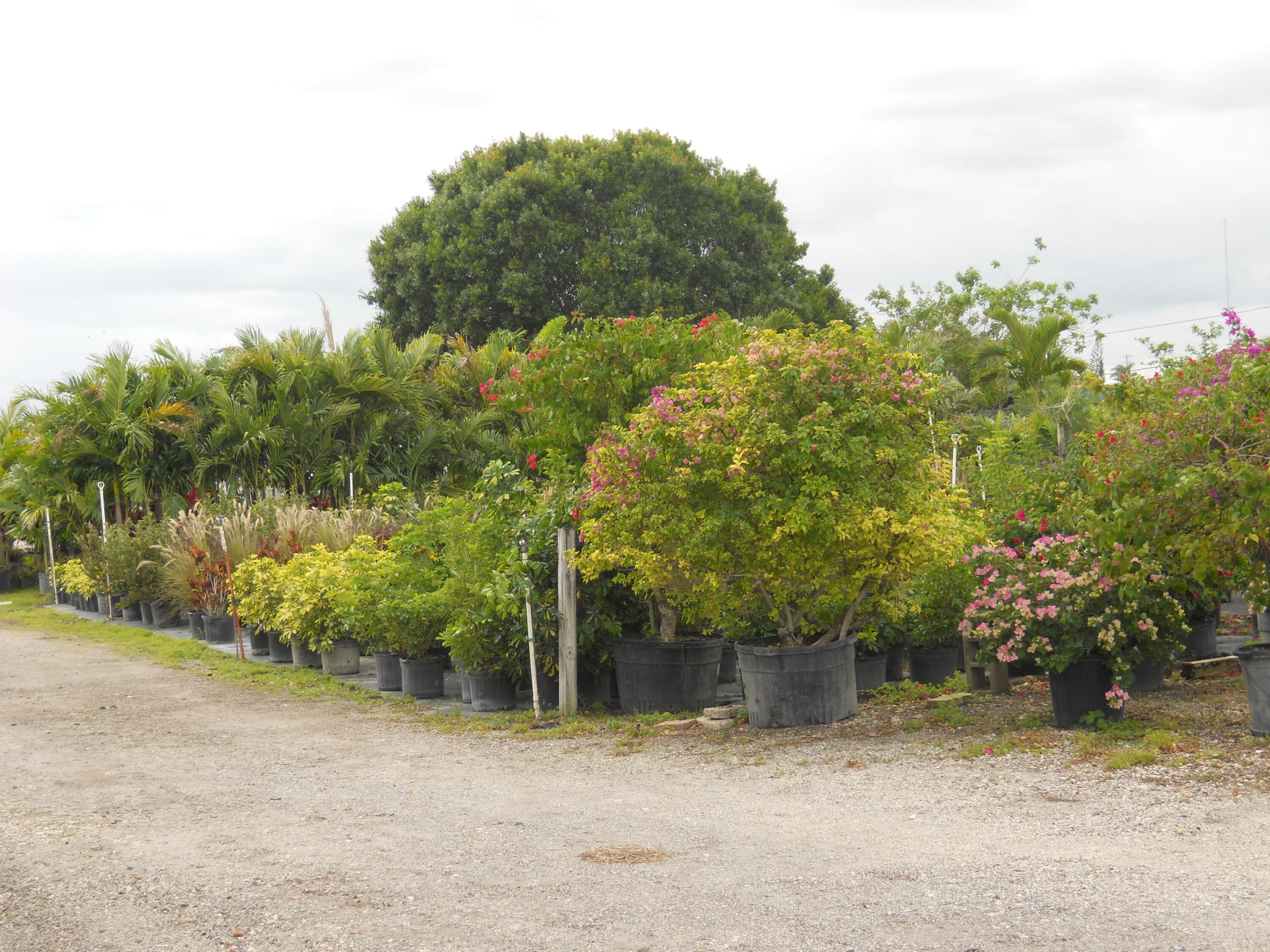 0000 Boynton Beach Blvd, Boynton Beach, FL 2