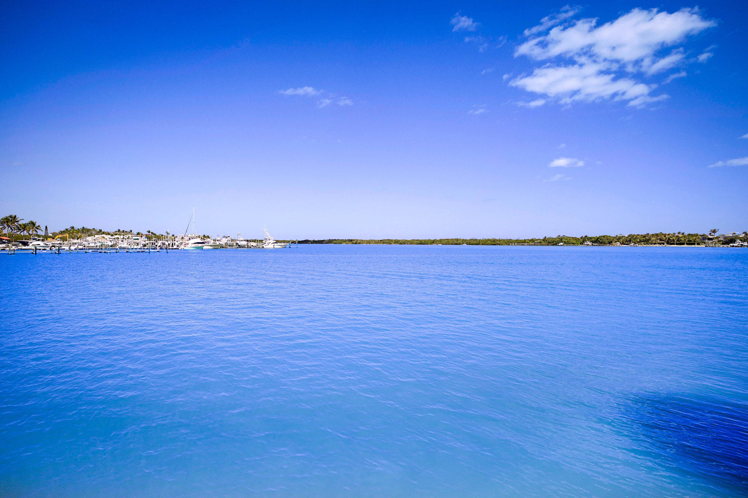300 Intracoastal Place 101, Jupiter, FL 33469 43