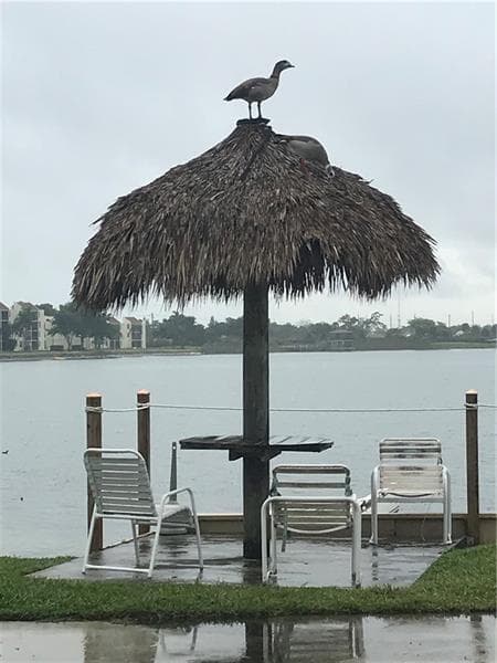 116 Lake Emerald Drive 101, Oakland Park, FL 33309 58