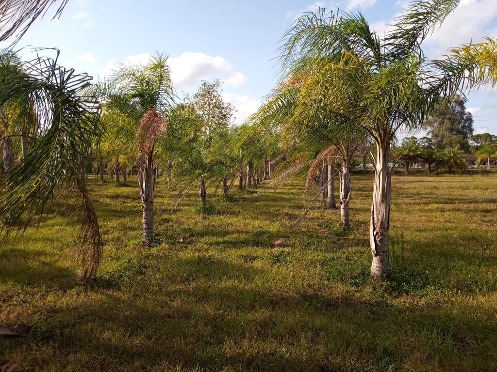 4500 SW Boatramp Avenue, Palm City, FL 34990 82