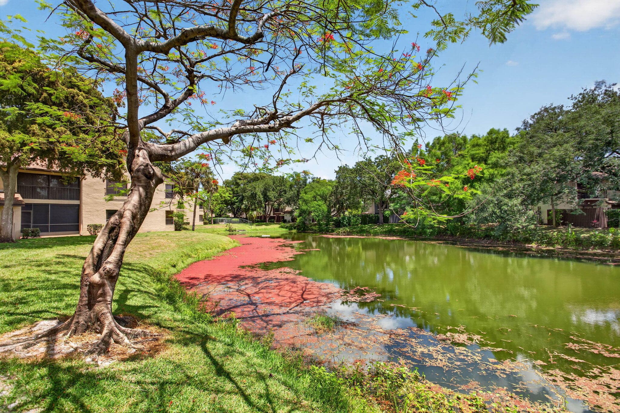 3713 Cocoplum Circle 3545, Coconut Creek, FL 33063 4