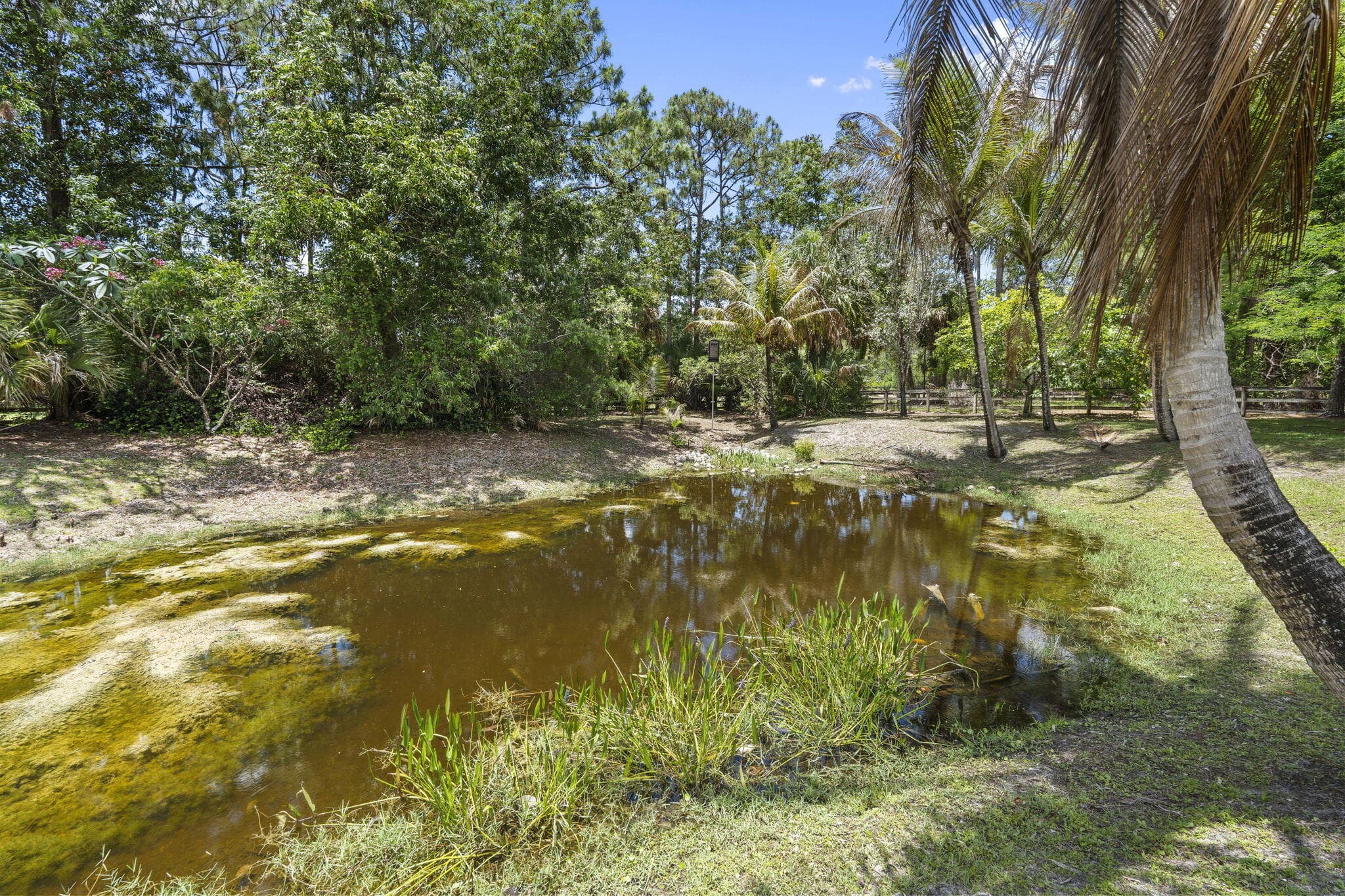 17225 Mare Lane, Loxahatchee, FL 33470 42