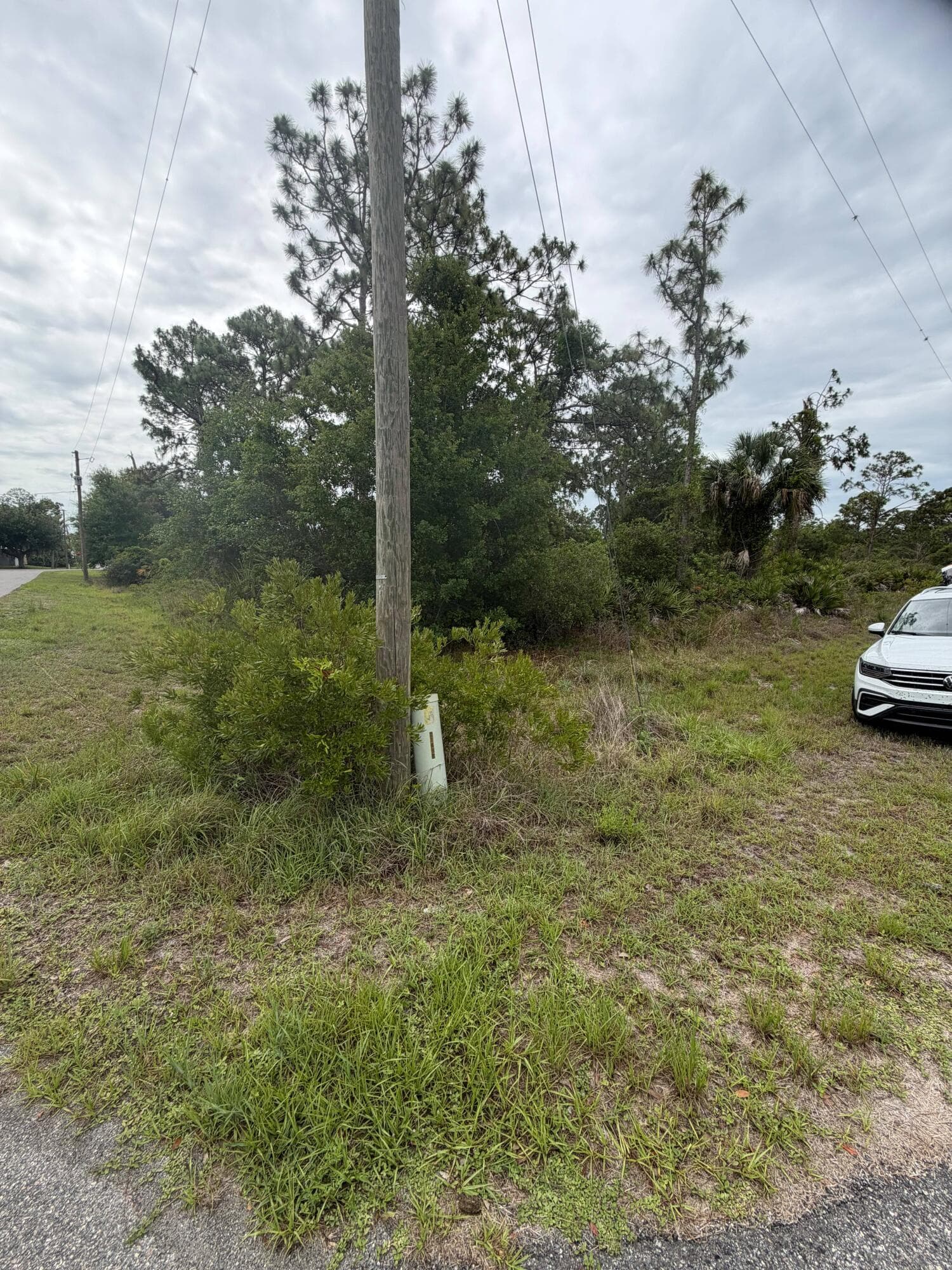 1170 Kingfisher Avenue NW, Lake Placid, FL 33852 2
