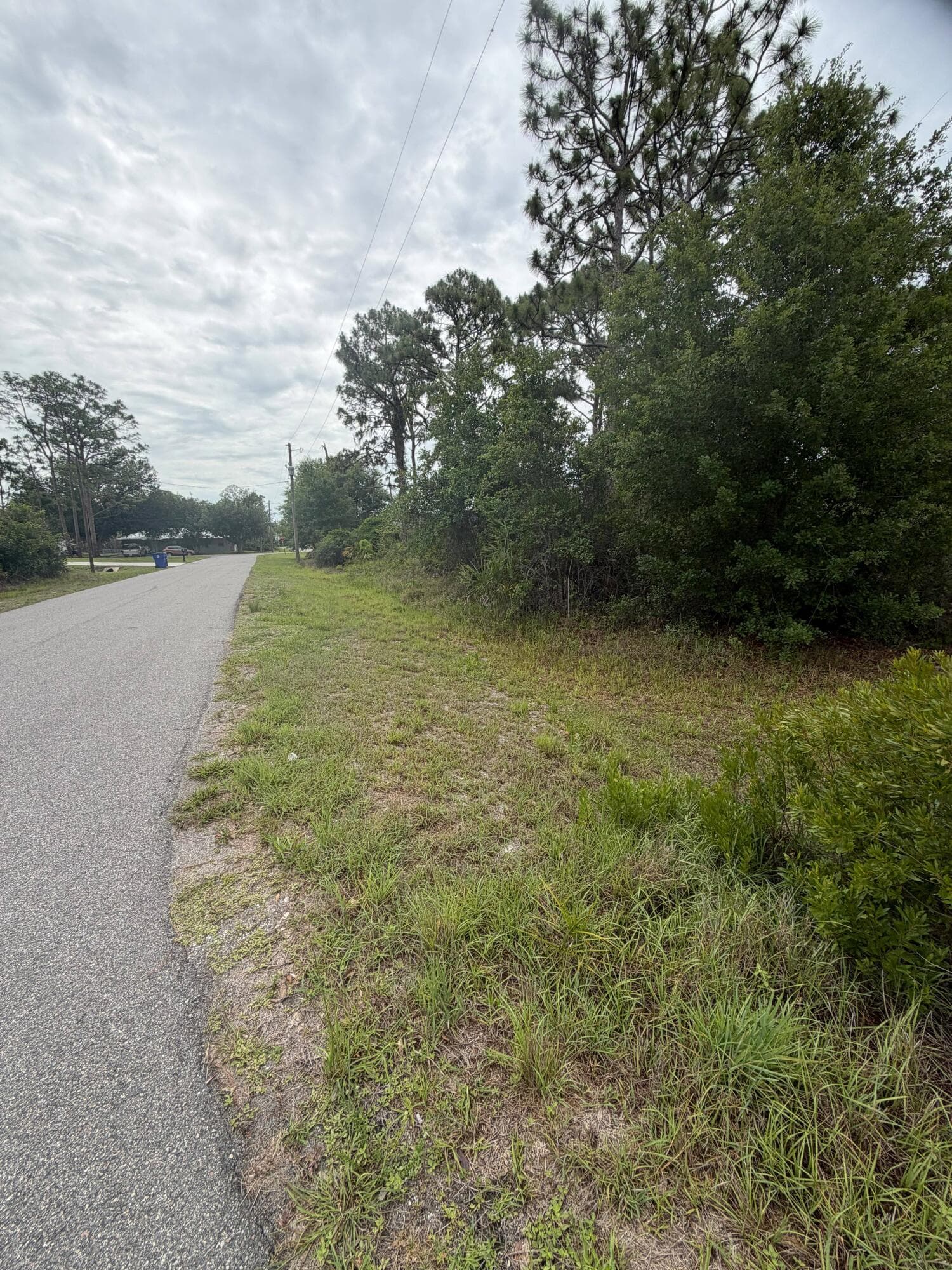 1170 Kingfisher Avenue NW, Lake Placid, FL 33852 3