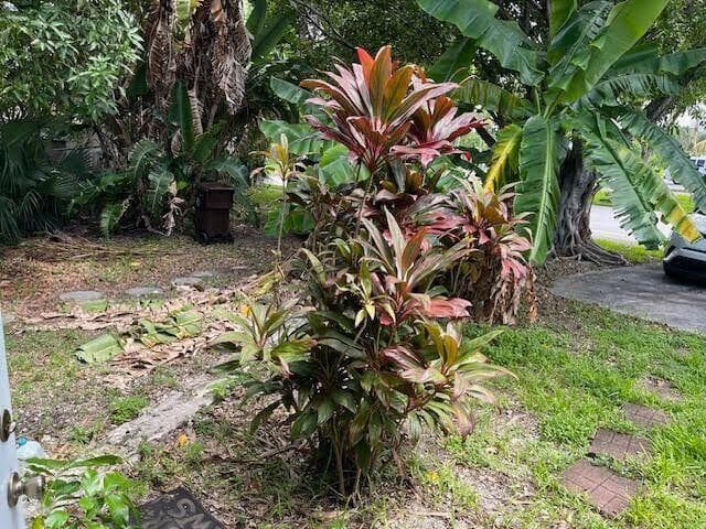 2025 Delphia Street, West Palm Beach, FL 33401 5