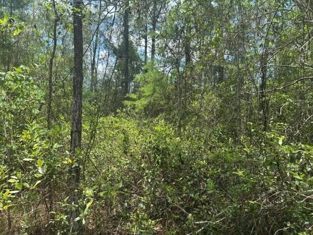0 Water Road, Clermont, FL 33868 2