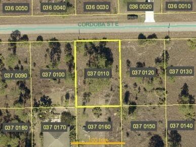 1246 Cordoba Street E, Lehigh Acres, FL 33974 8