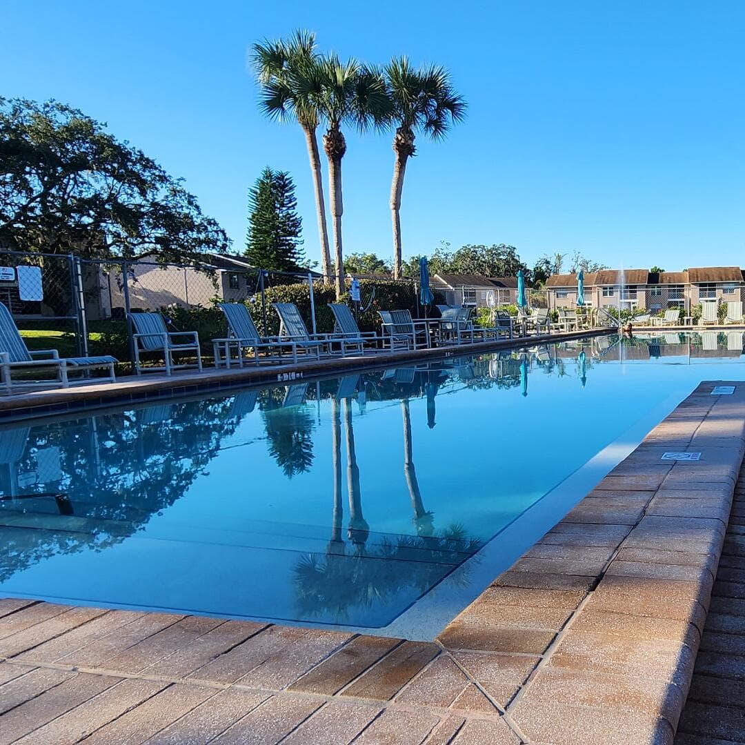 6440 Spring Flower Drive 14, New Port Richey, FL 34653 3