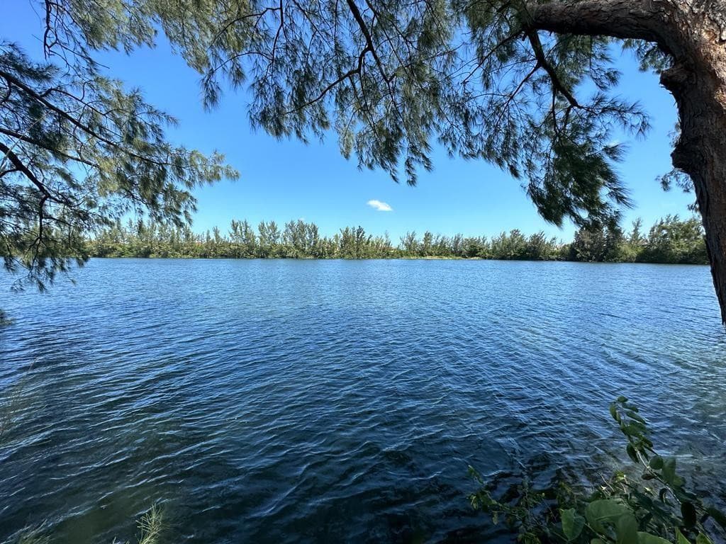 425 NW 10th Terrace, Hallandale Beach, FL 26