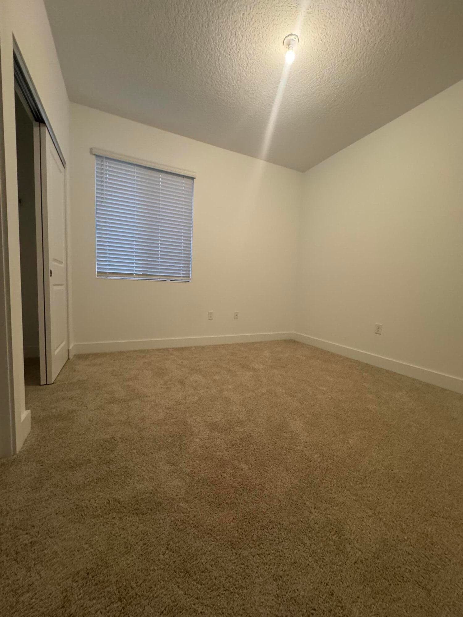 5120 Nevola Avenue, Ave Maria, FL 34142 7