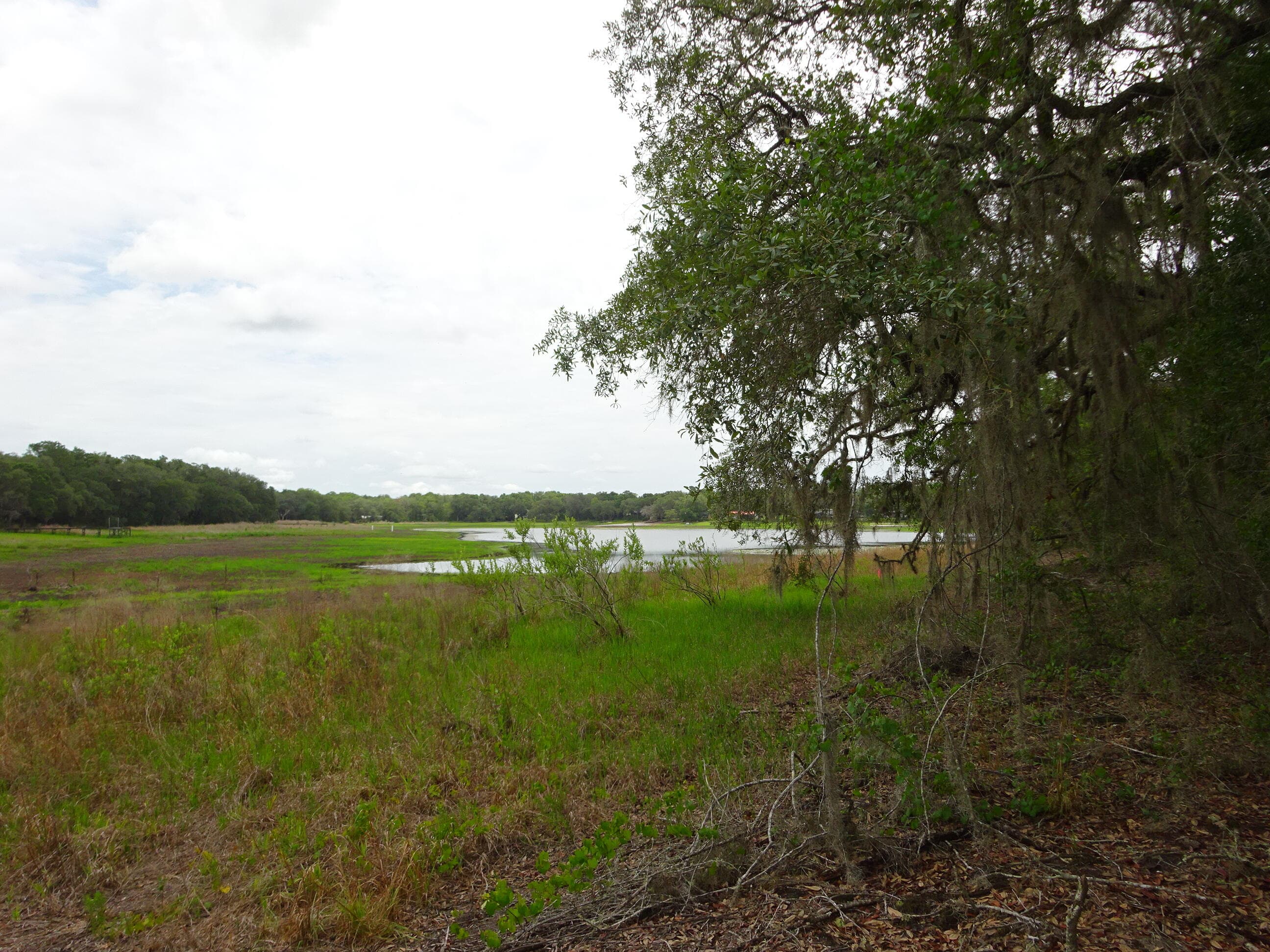 0000 SW Shorewood Drive, Dunnellon, FL 9