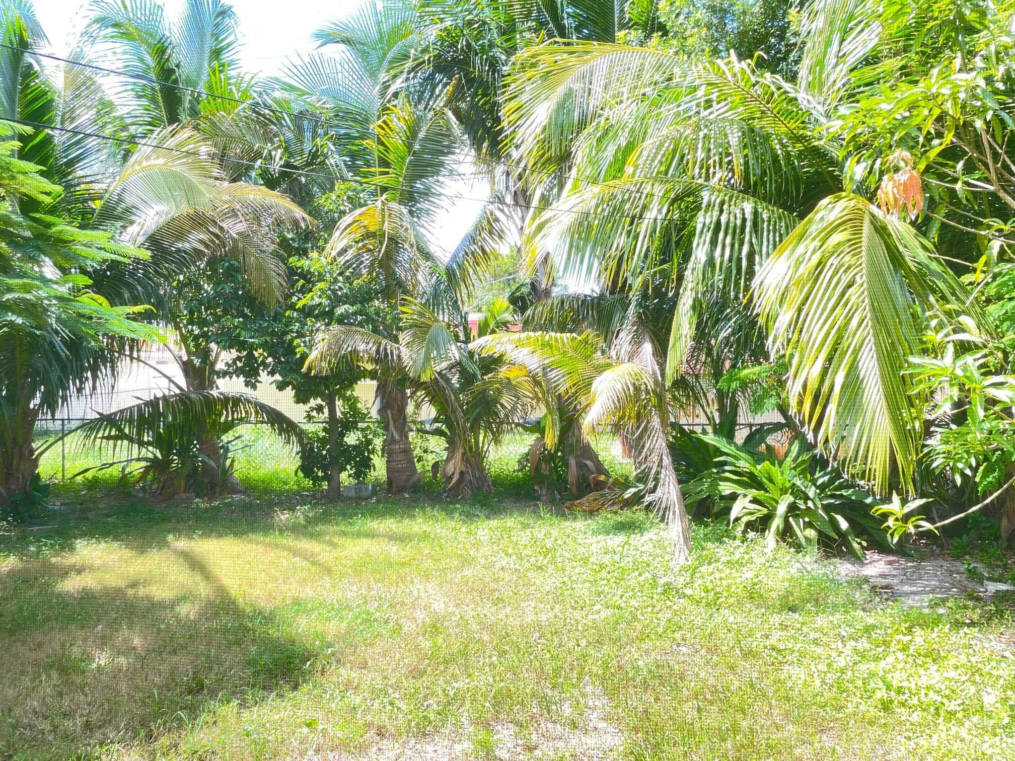 630 N 69th Avenue, Hollywood, FL 33024 31