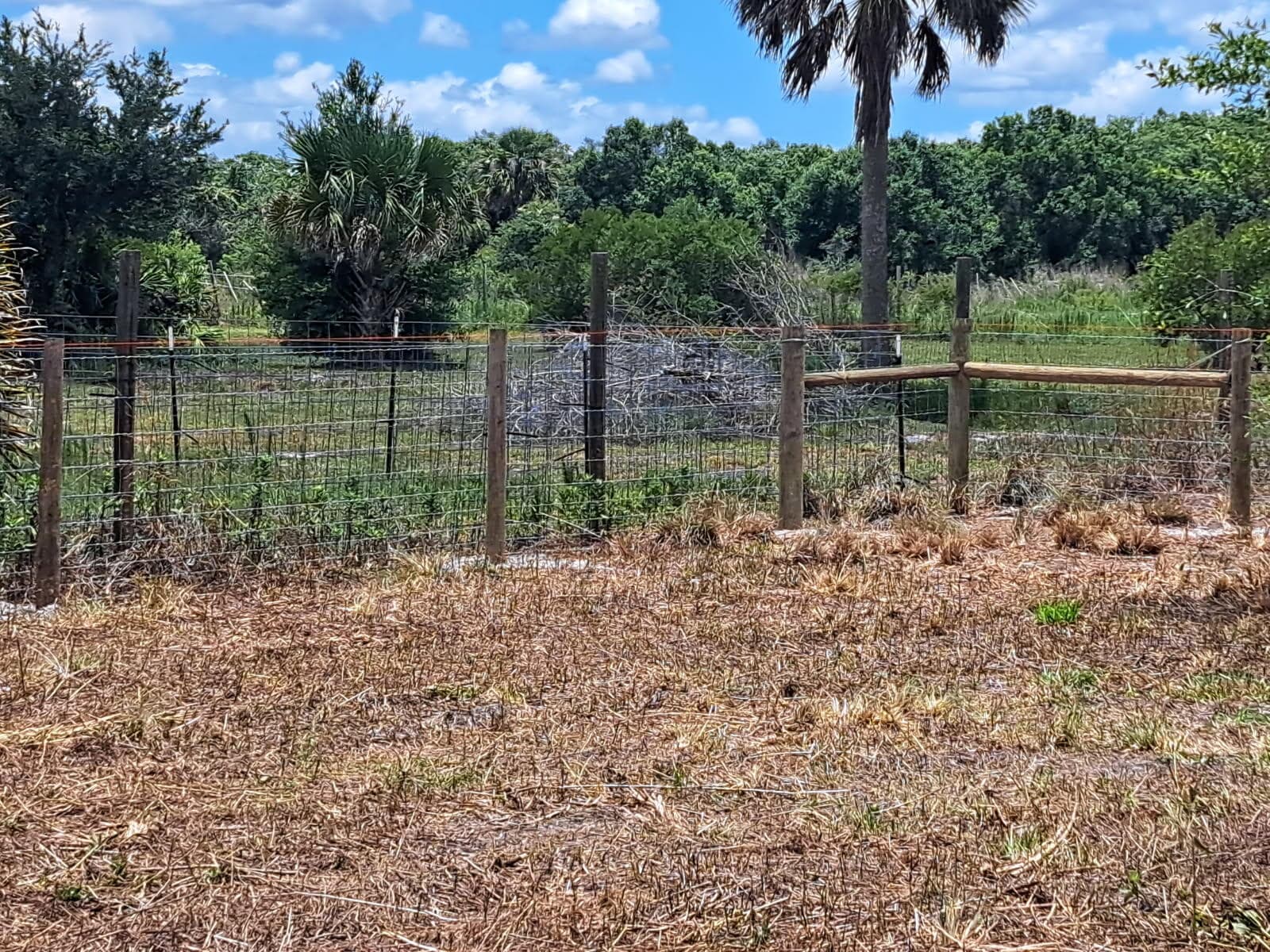 20639 NW 300th Street, Okeechobee, FL 34972 6