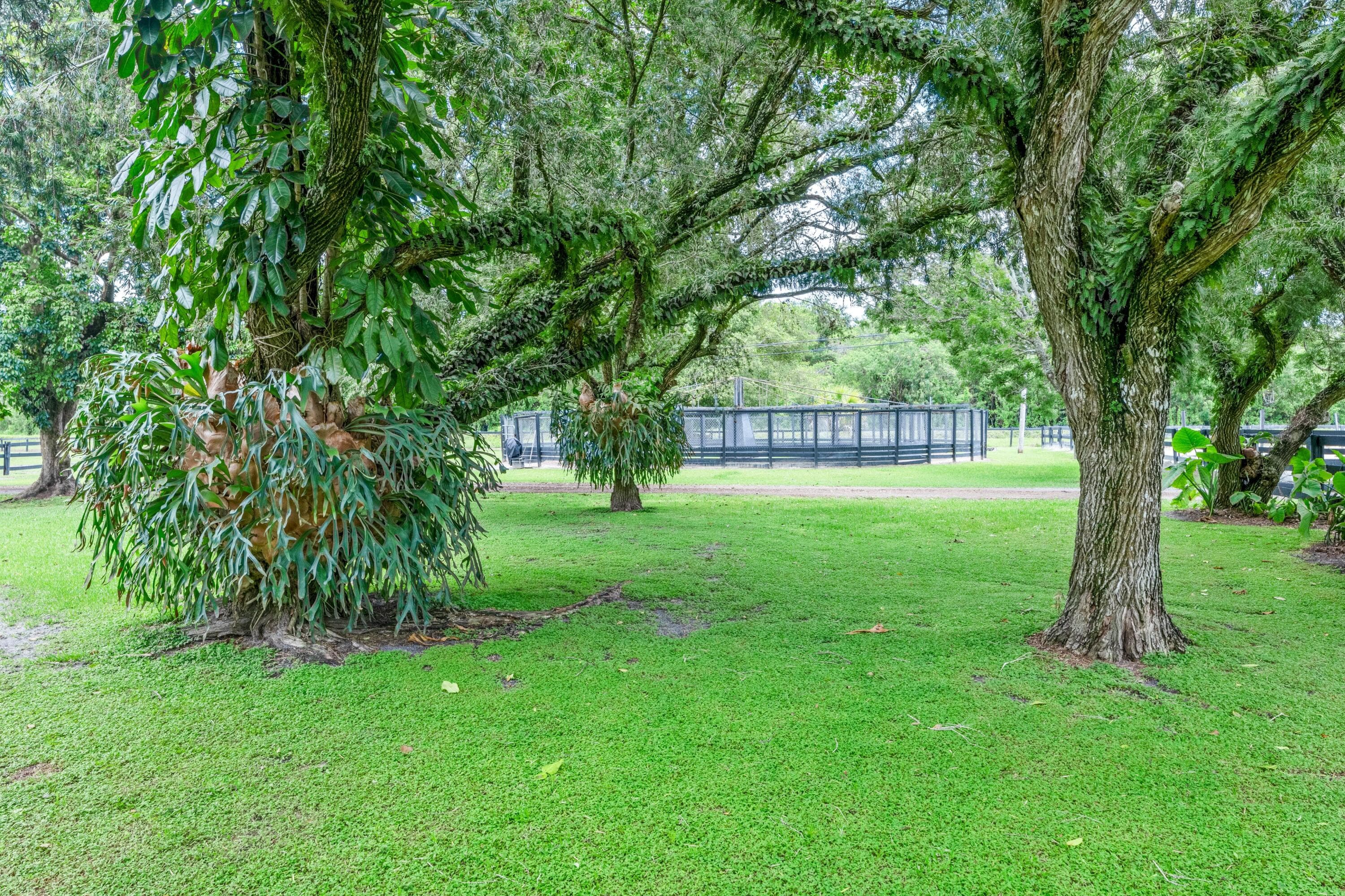 14536 North Road, Loxahatchee Groves, FL 33470 62