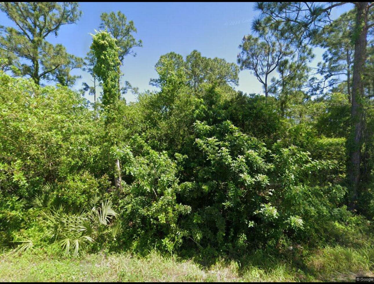 111 Suwannee Lane, Lake Placid, FL 33852
