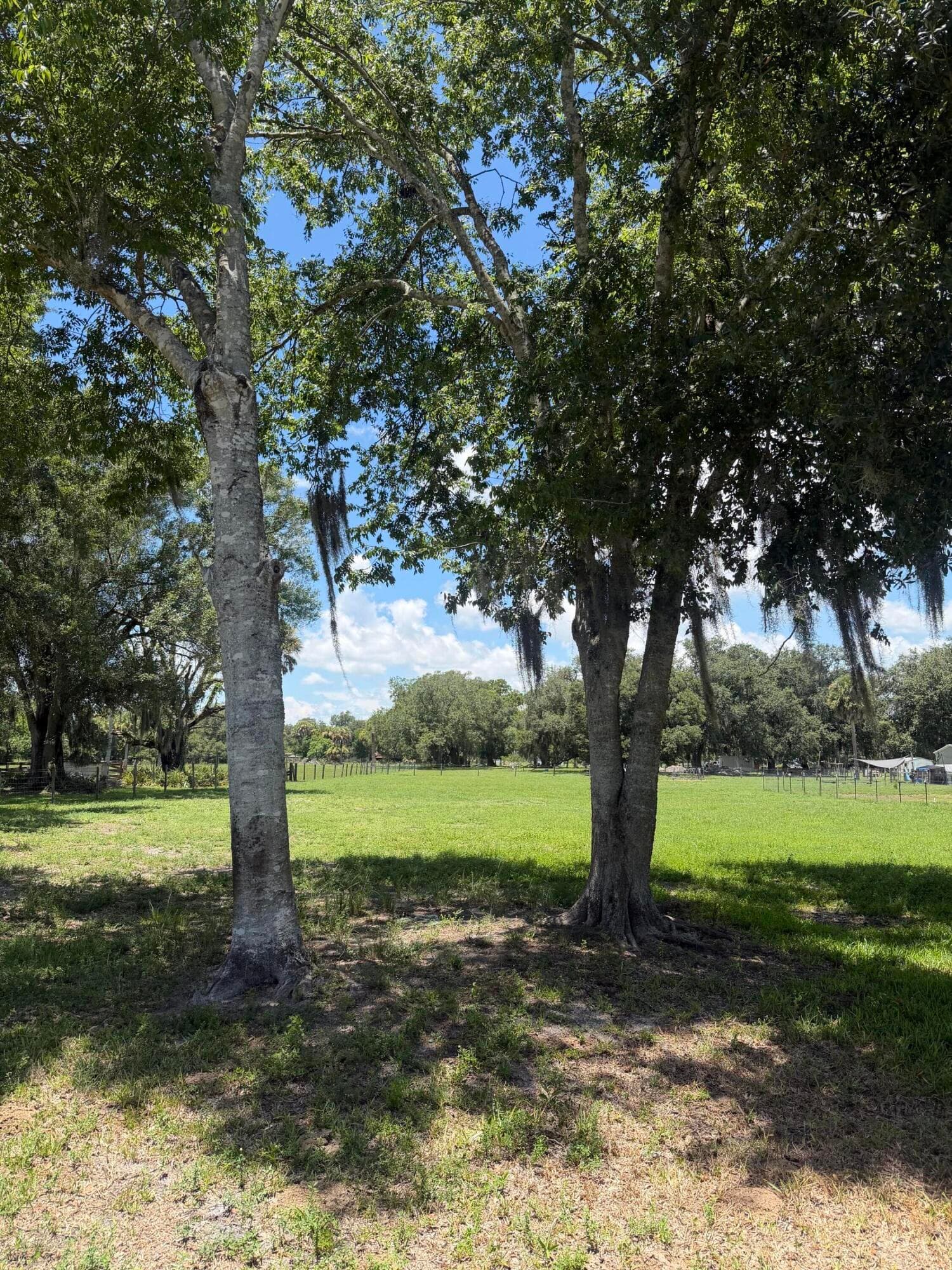 0 NE 28th Avenue, Okeechobee, FL 34972 3