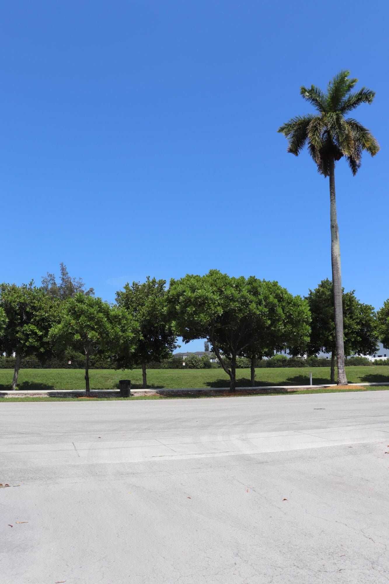 20500 NW 7th Avenue 8, Miami Gardens, FL 33169 18