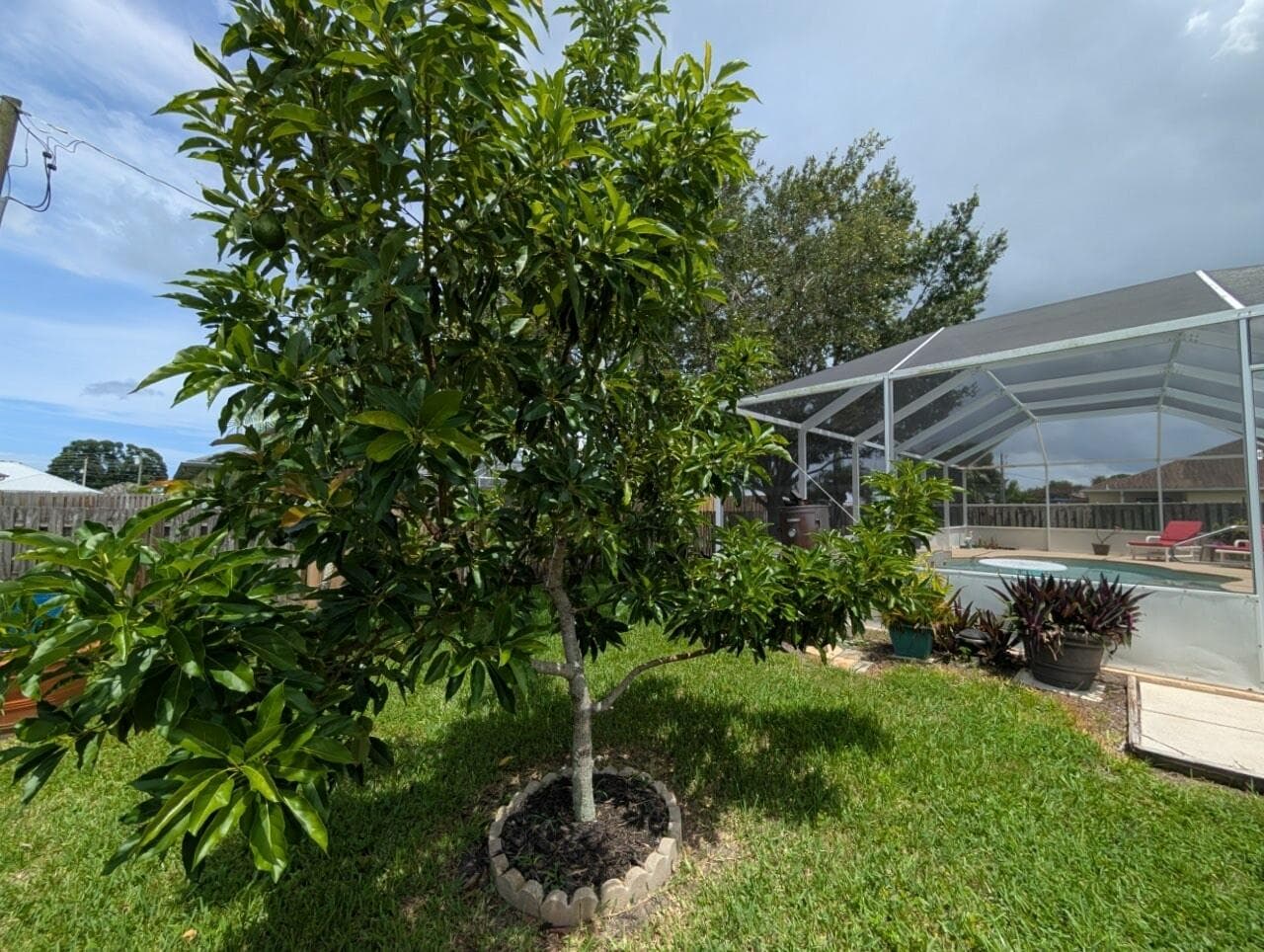 2097 SW Larchmont Lane, Port St. Lucie, FL 34984 35