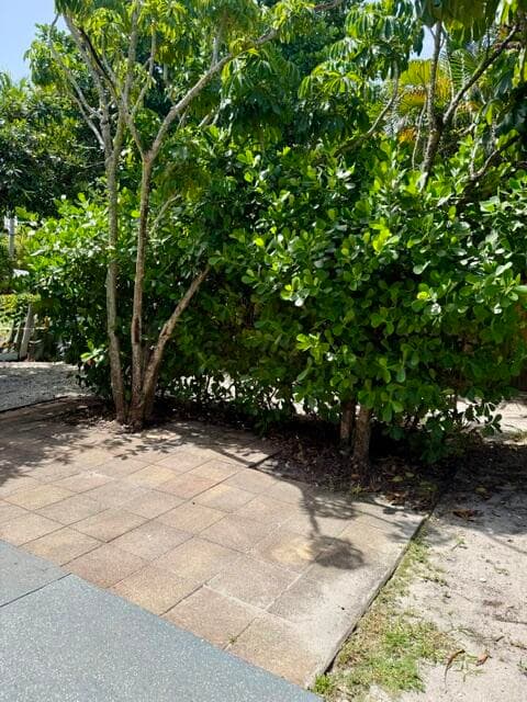 301 S M Street 1, Lake Worth Beach, FL 33460 18
