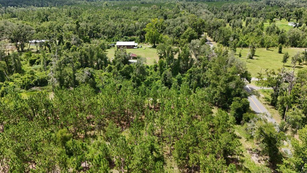 0 185th Road, Live Oak, FL 32060 13