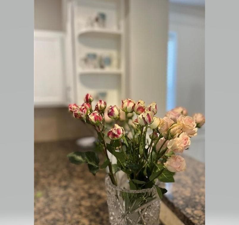 275 Murcia Drive 308, Jupiter, FL 33458 8