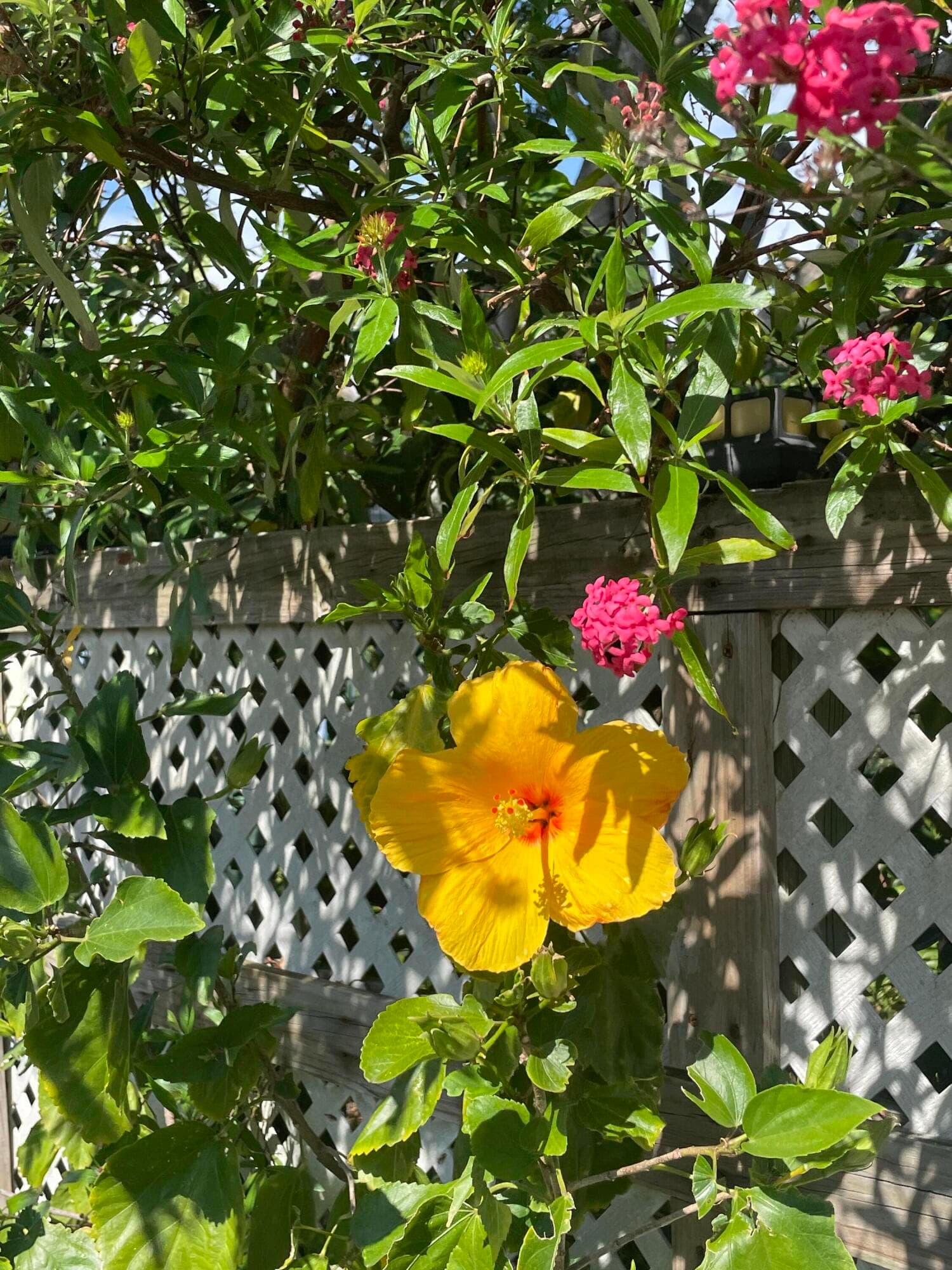 927 N L Street Unit C, Lake Worth Beach, FL 33460 21
