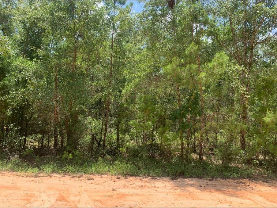 115 Florida Boulevard, Satsuma, FL 32189