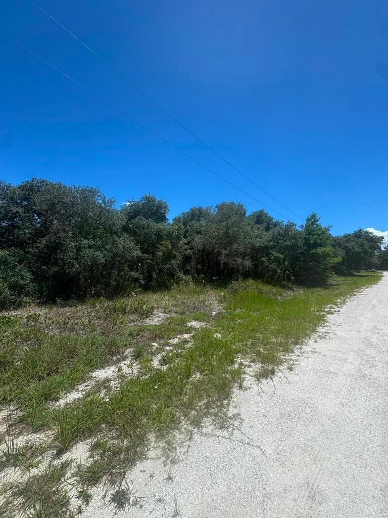 2530 N Todd Road, Avon Park, FL 33825 4