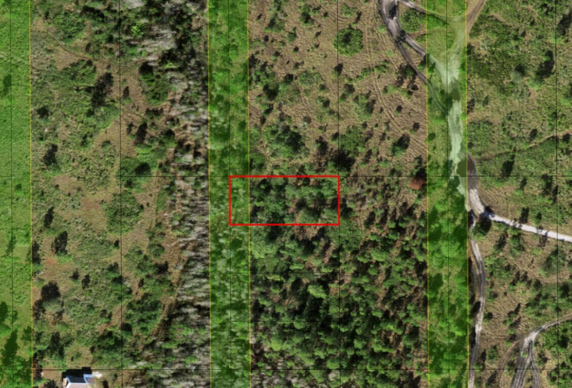 0 Holopaw Groves Road, St. Cloud, FL 34772 3