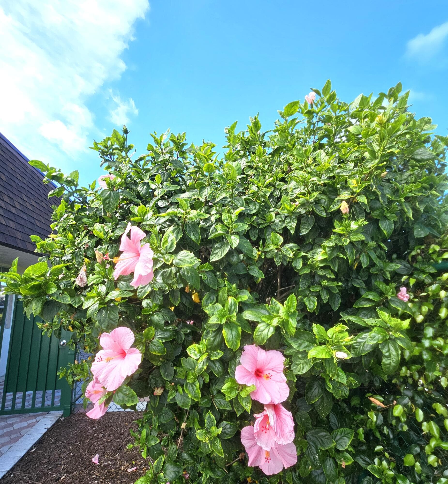1141 VIOLET Terrace 201, Delray Beach, FL 33445 30