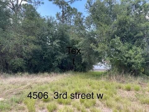 4506 3RD Street W, Lehigh Acres, FL 33936