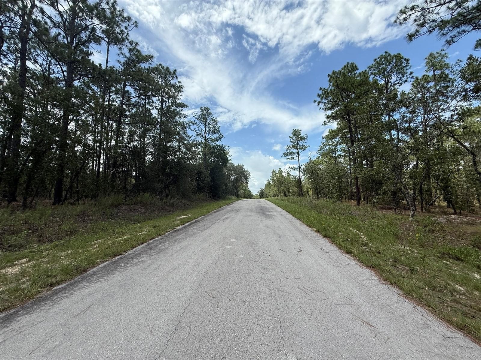 Tbd NW Tree Top Road, FL 34431 4