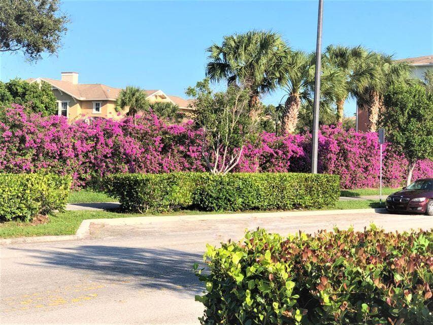 770 MILLBRAE Court 4, West Palm Beach, FL 33401 36