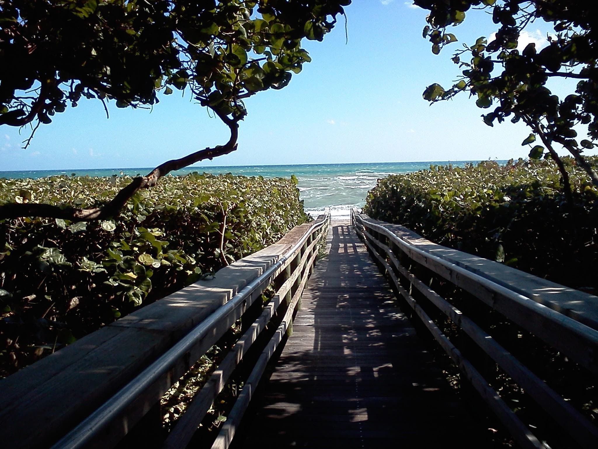 717 S US HIGHWAY 1 304, Jupiter, FL 33477 31