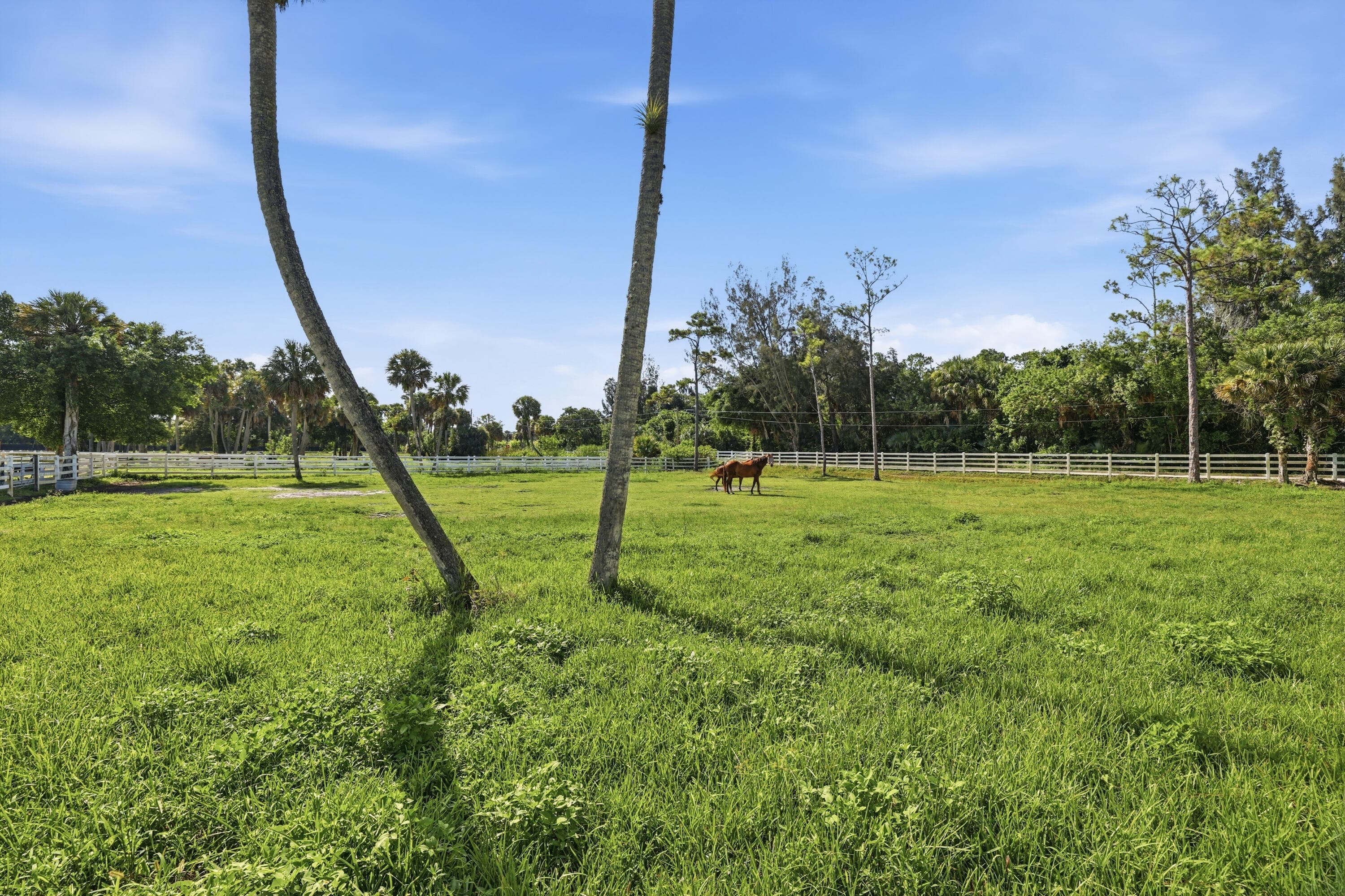 14095 BIDDEX Road, Loxahatchee Groves, FL 33470 49