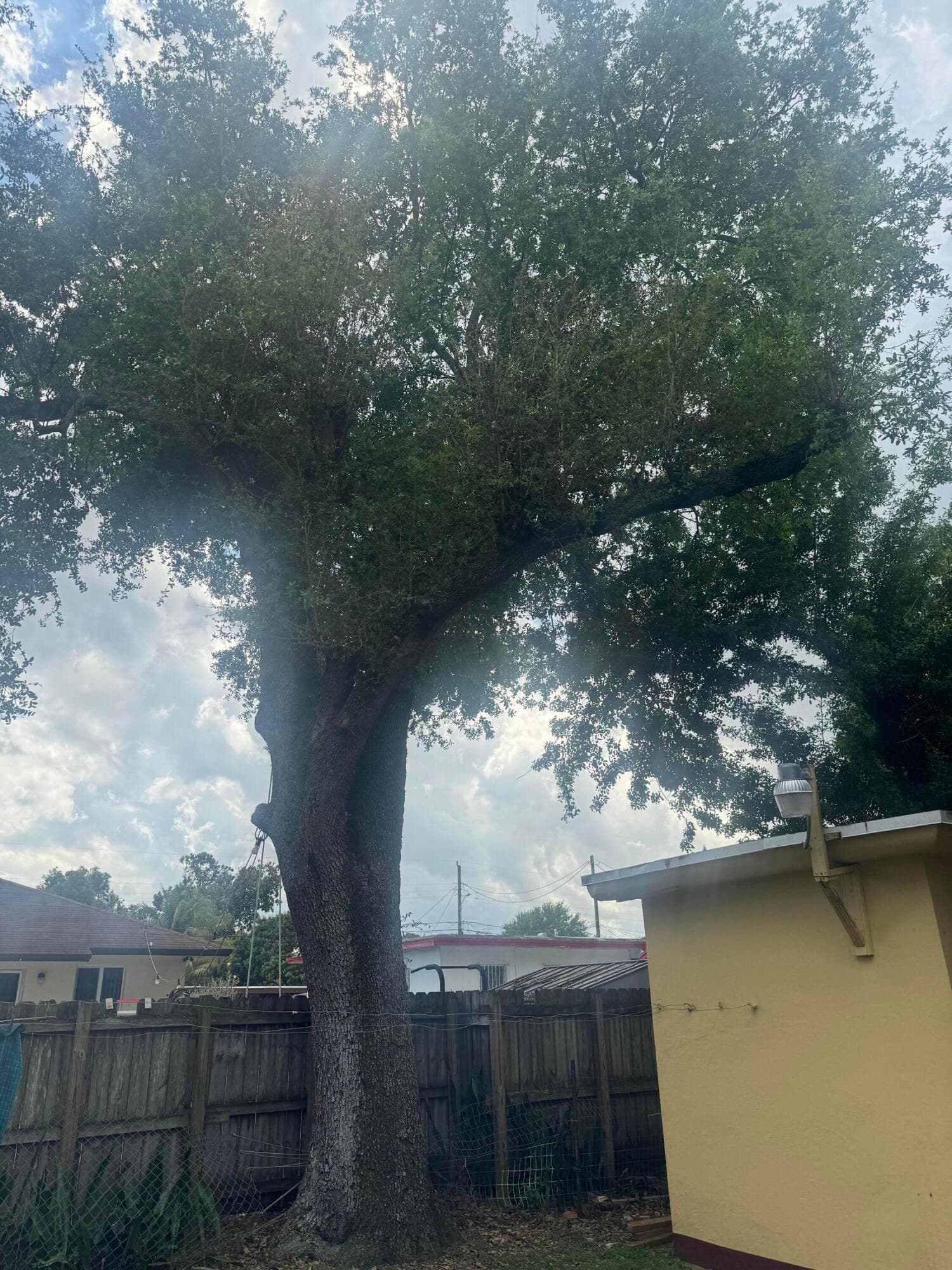 2360 NW 98TH Street, Miami, FL 33147 33