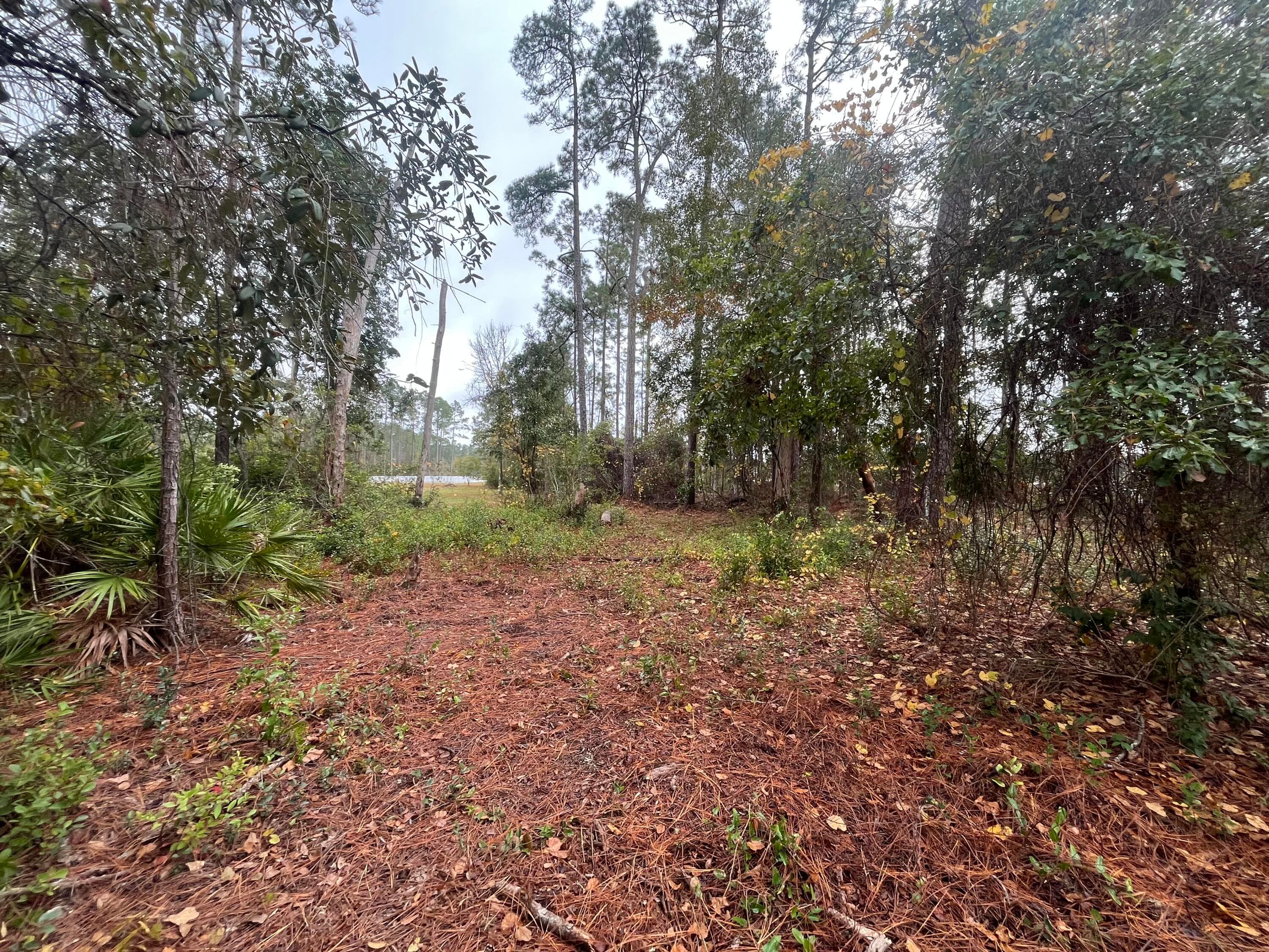 Tbd susan Street, Interlachen, FL 32148 2