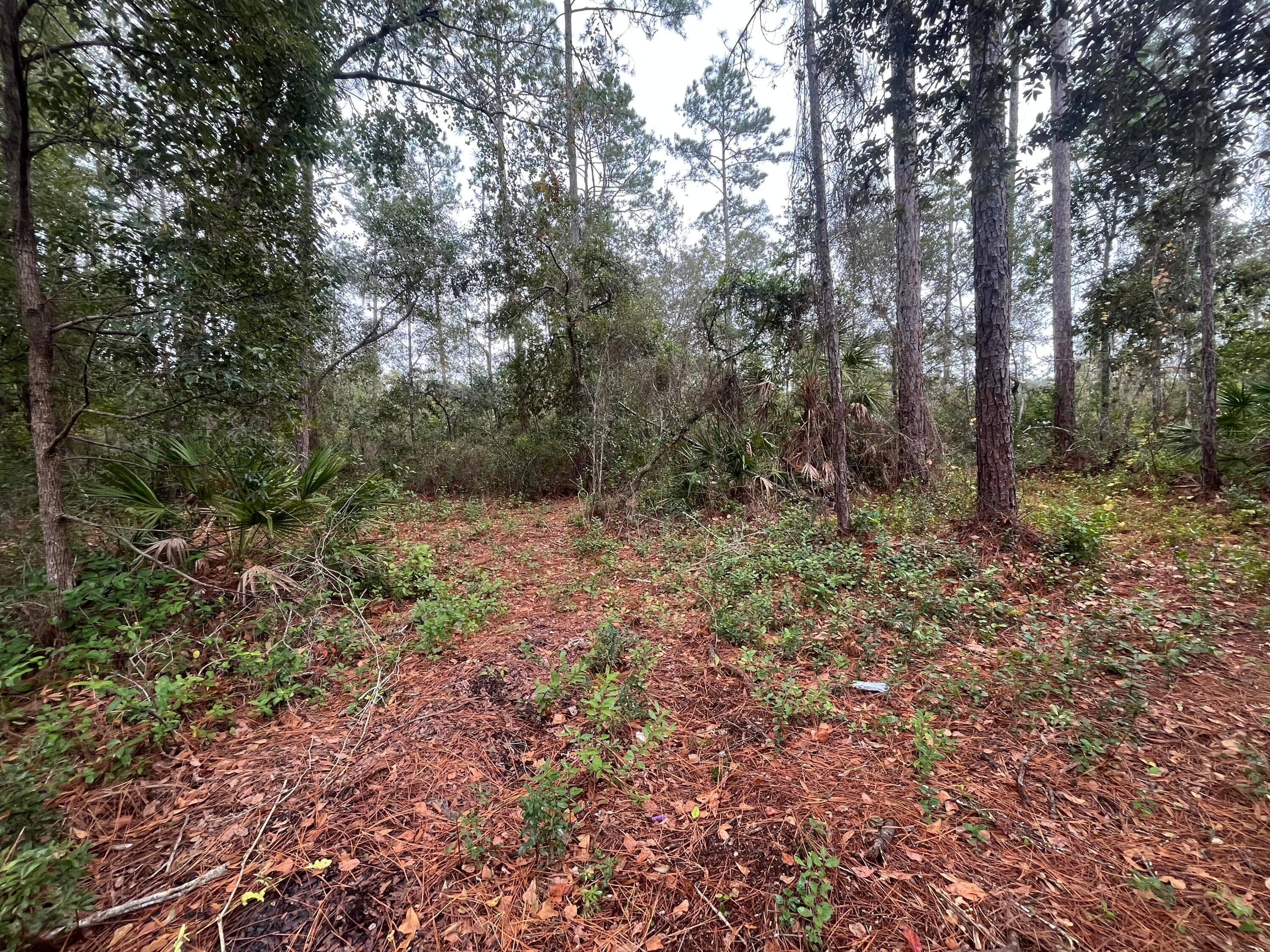 Tbd susan Street, Interlachen, FL 32148 4