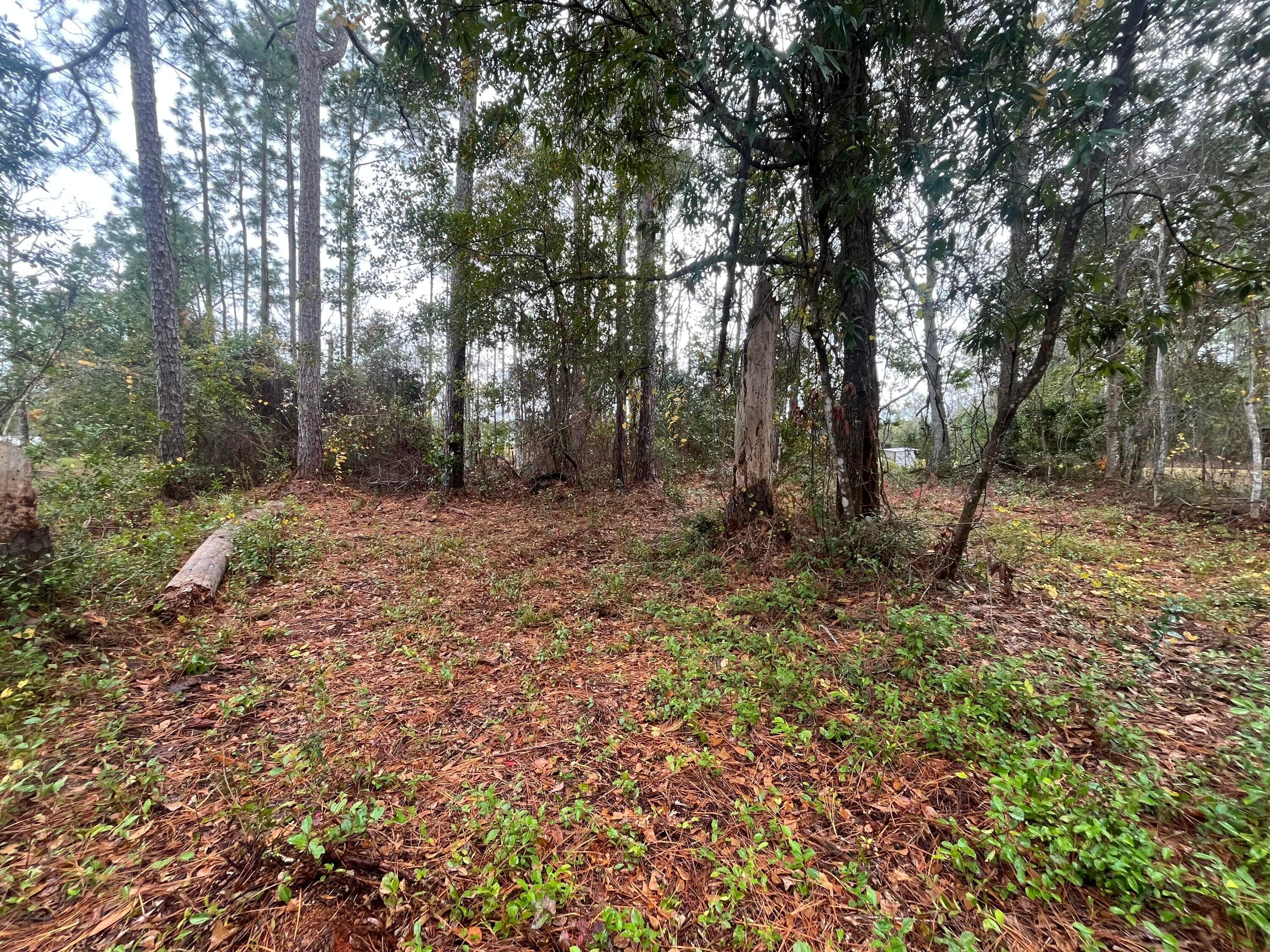 Tbd susan Street, Interlachen, FL 32148 5