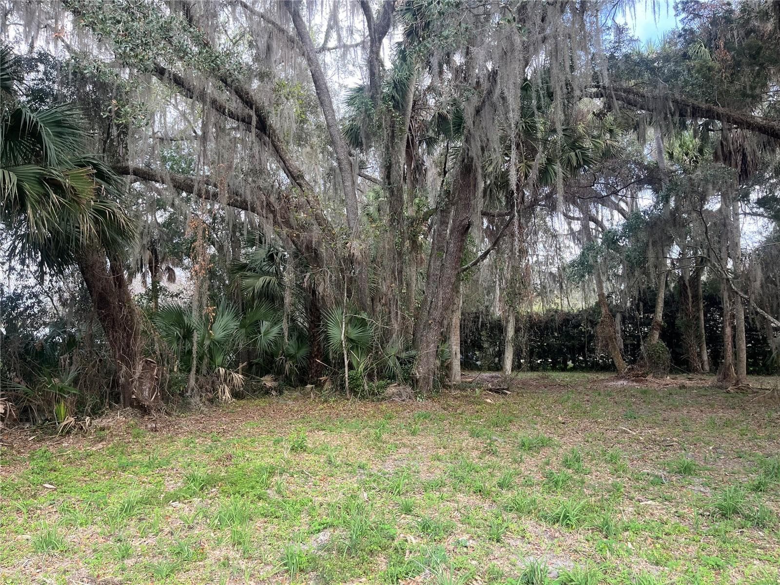 0 SE 183rd Avenue, Hawthorne, FL 32640 3