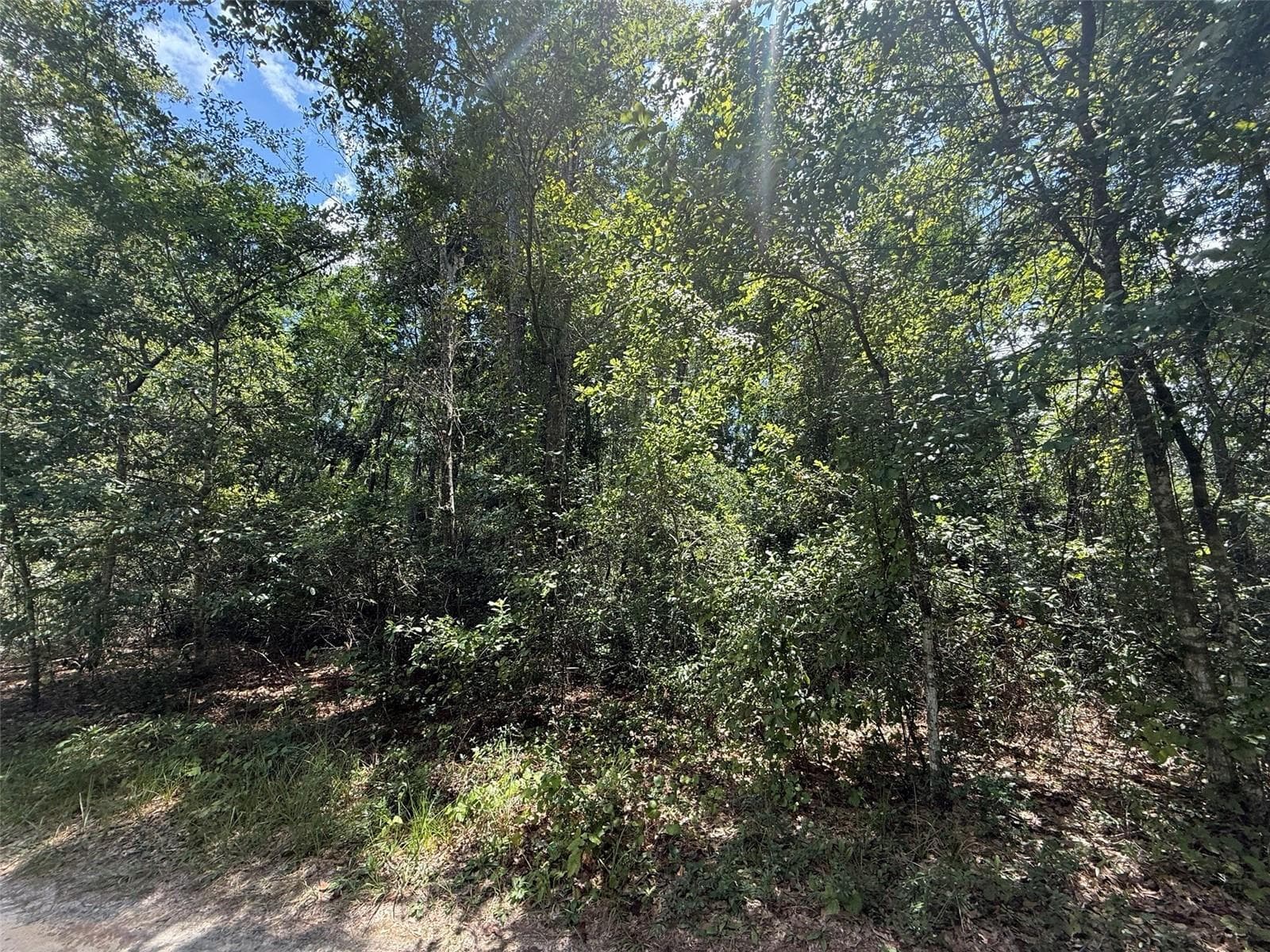 313 CALHOUN Avenue, Florahome, FL 32140 2