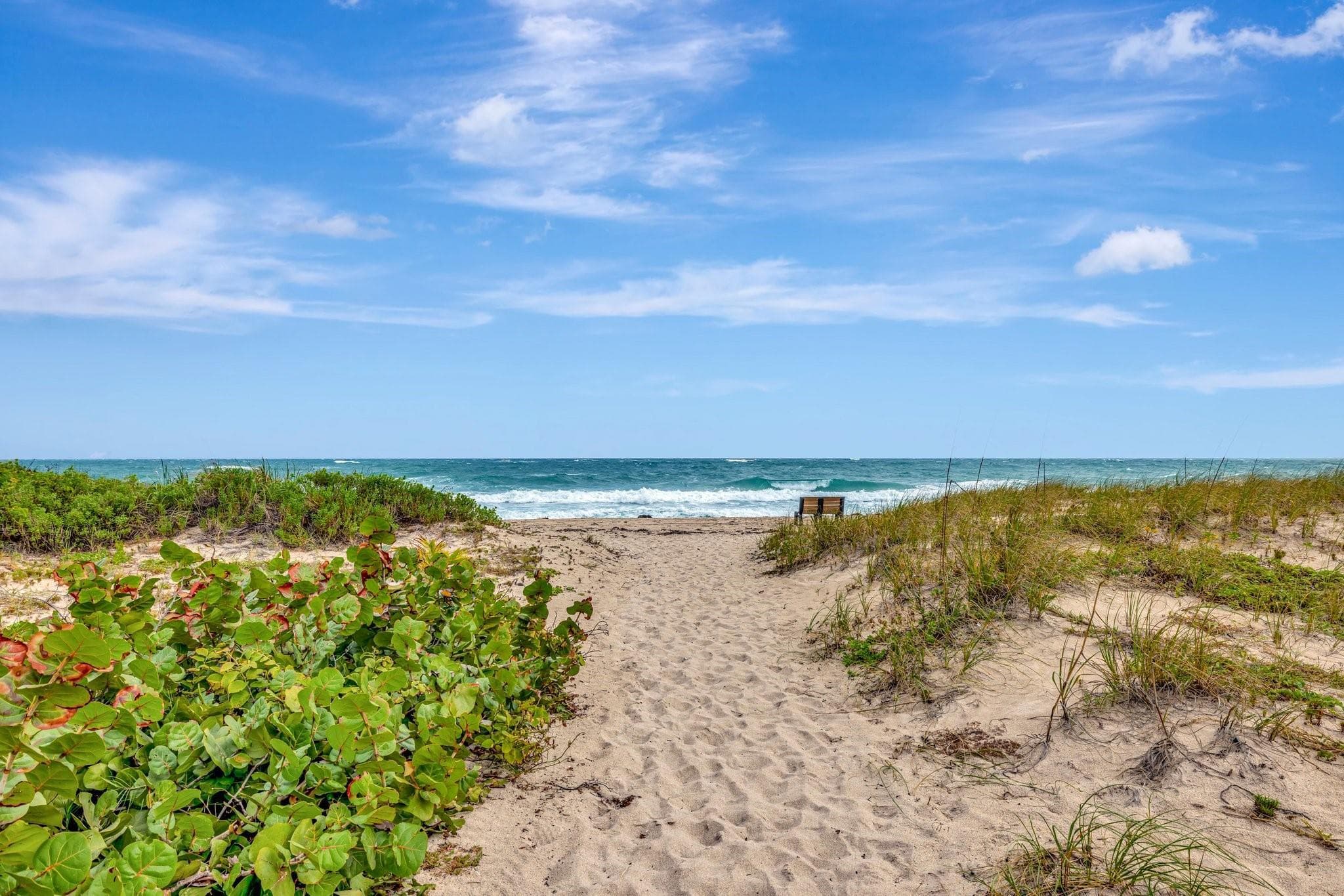 50 SE 12th Street 2260, Boca Raton, FL 33432 27