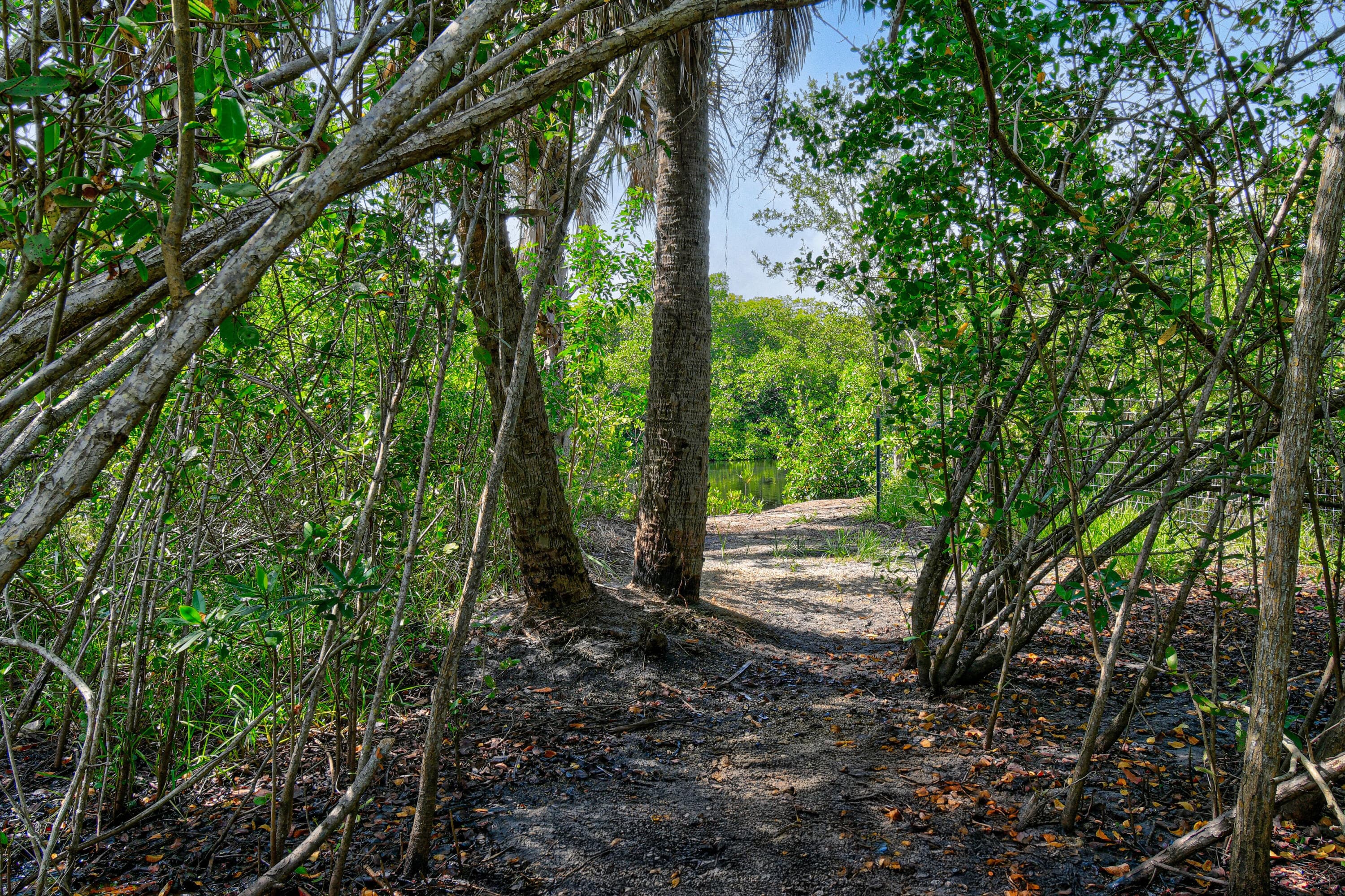 10541 SE Le Parc, Jupiter, FL 33469 36