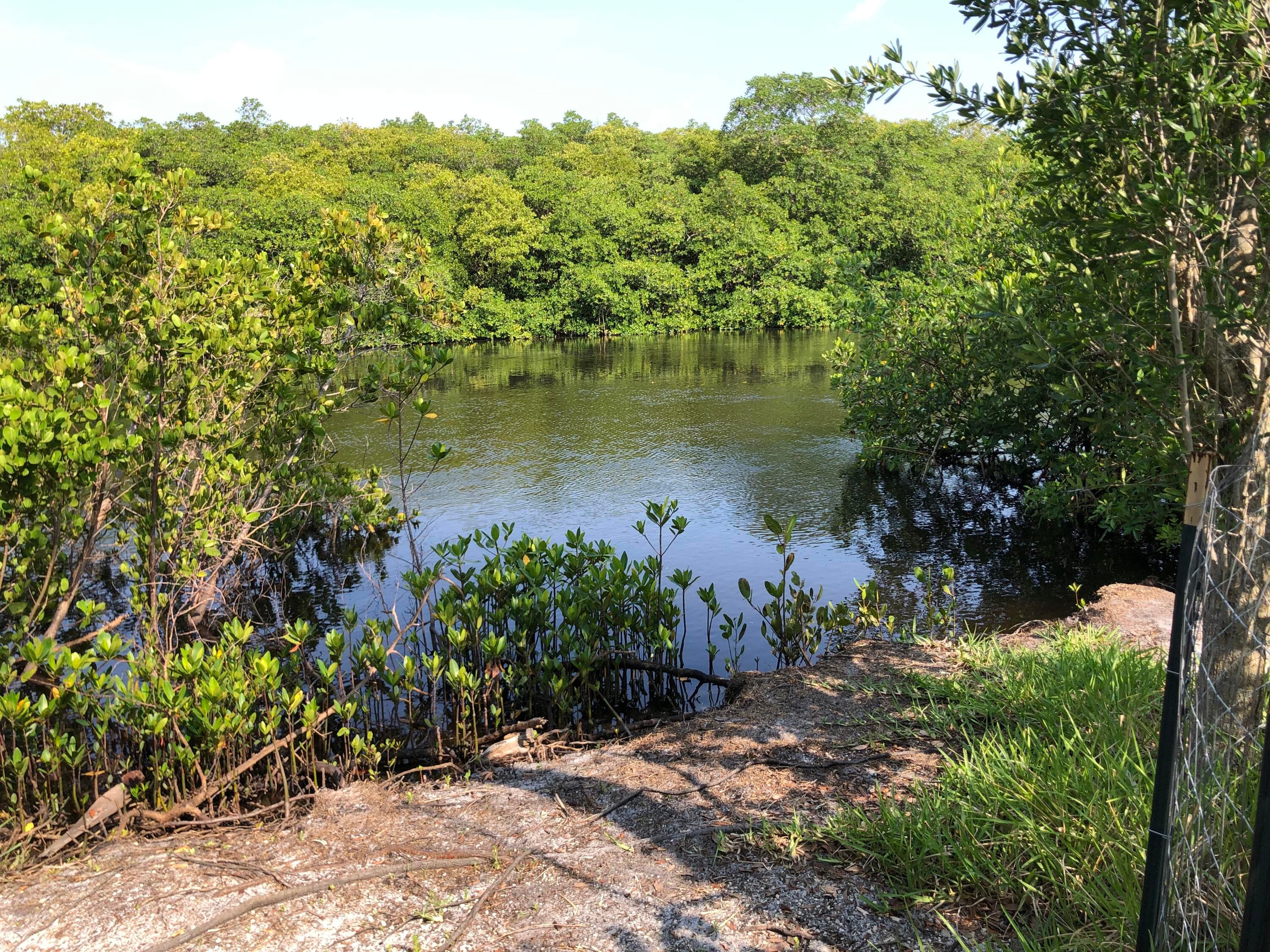 10541 SE Le Parc, Jupiter, FL 33469 37