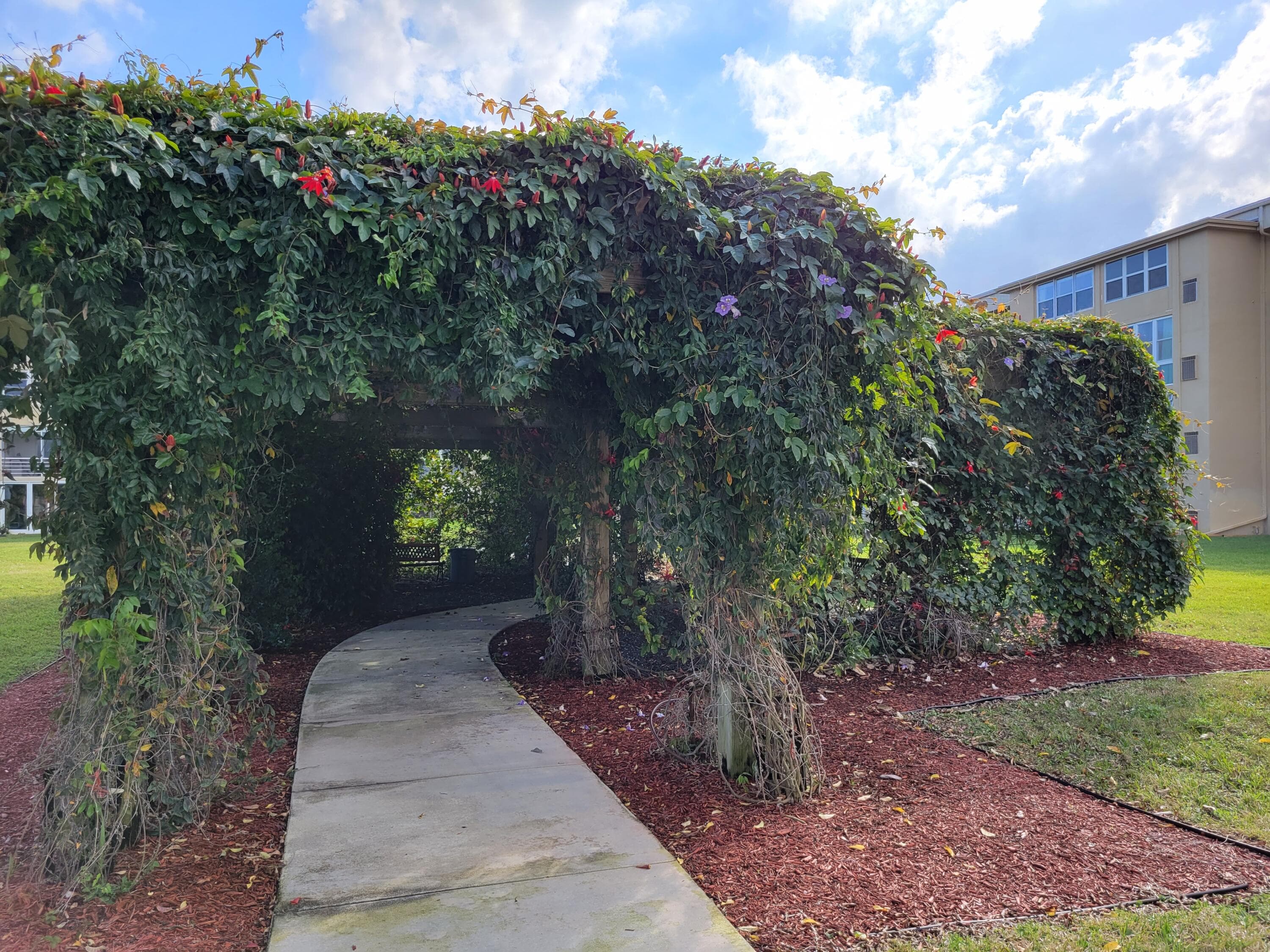 230 NE 26th Avenue 209, Boynton Beach, FL 33435 24